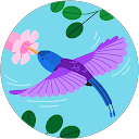 Holly M profile picture